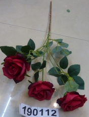 Rose 6 Blüten