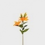 Tiger-Lilie x 5, orange, H75cm