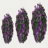 Buxkugel, grün/violett, Ø22cm