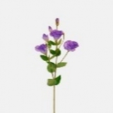 Lisianthus x 9, violett, H89cm
