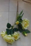 Rose gelb 6 Blüten