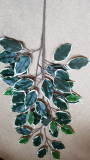 Ficus Blätter grün/weiss